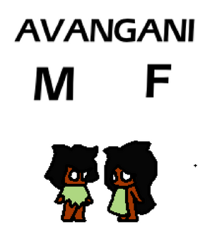 Avanfd.png